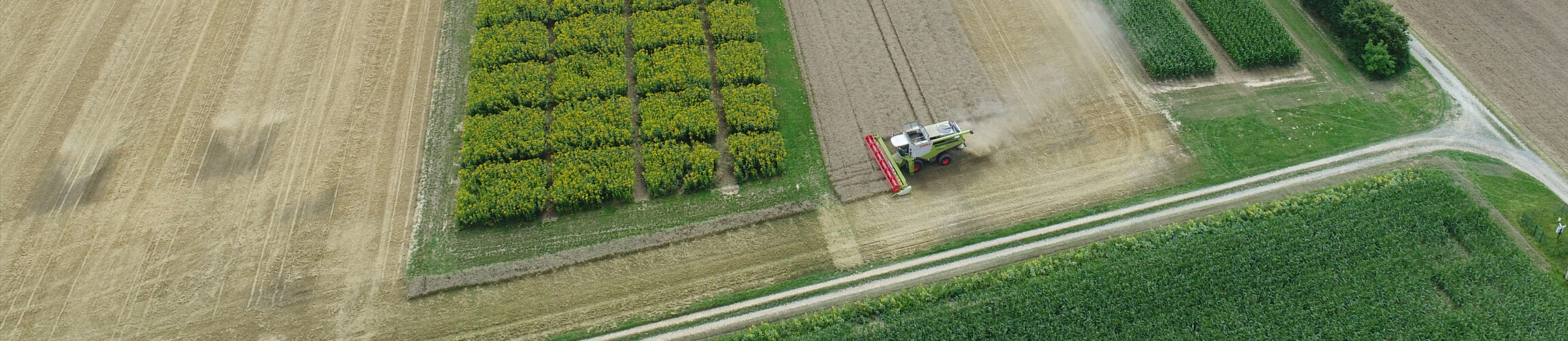 Technologie- und Förderzentrum im Kompetenzzentrum für Nachwachsende Rohstoffe